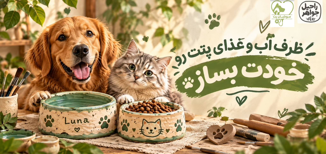 برای حیوون خونگیت ظرف بساز